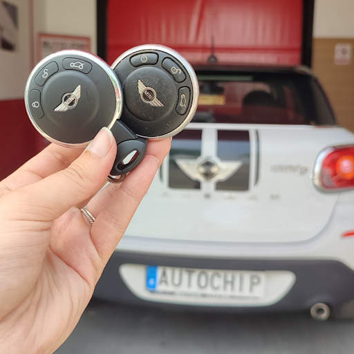 AUTO CHIP - Visual
