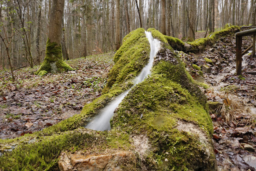 Steinerne Rinne at Wolfsbronn