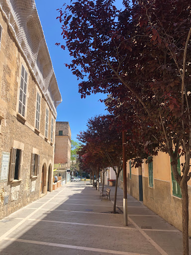 Sant Vicenç de Paül - Thumbnail