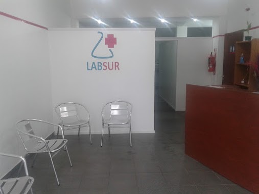 LABSUR, Author: LabSur LABORATORIO