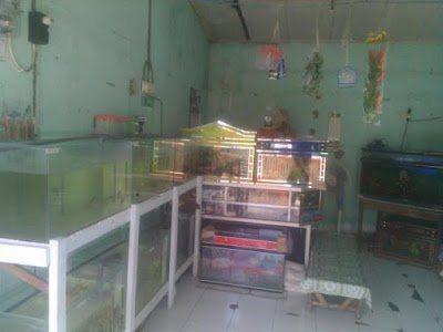 home-goods-store