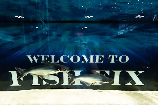Fish Fix - Visual