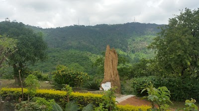 Photos of Mountain Paradise