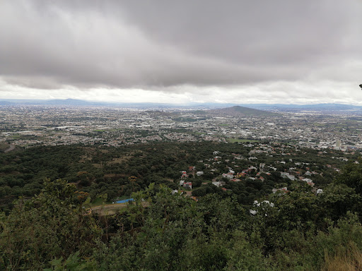 Mirador Palomar