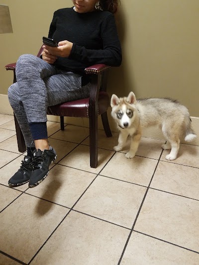 Photos of VCA Orange City Animal Hospital