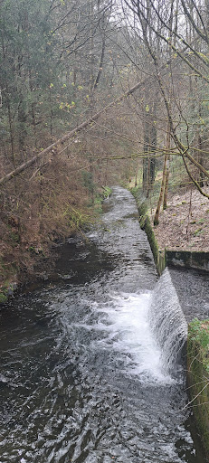 Ausgangspunkt FrankenwaldSteigla Der Kirchgängr - Thumbnail