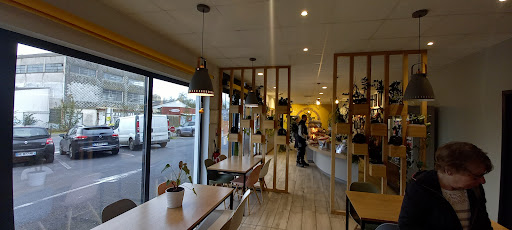 Photo 4 - Biofournil