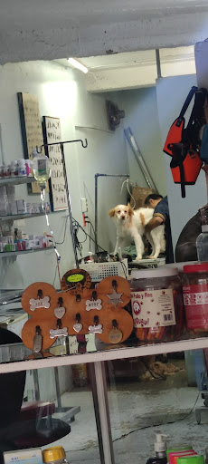 VETERINARIA 'PINKY VET" - Thumbnail