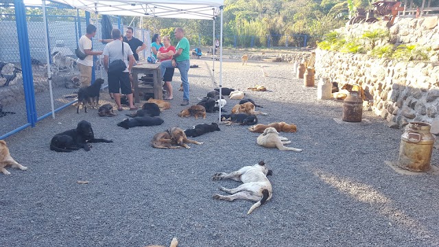 Territorio de Zaguates