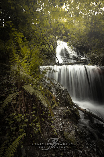 Cascada Las Vegas