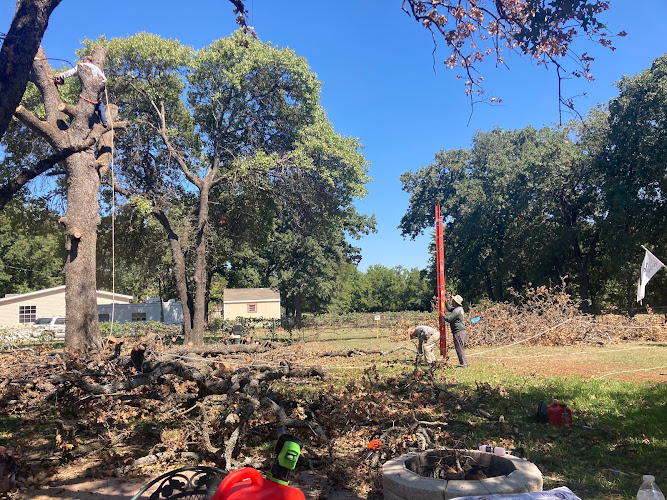 Eagle Jaimes Tree Service