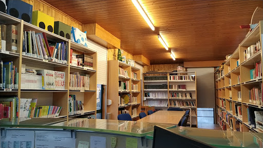 Biblioteca Pública Municipal de Pereiro de Aguiar - Thumbnail