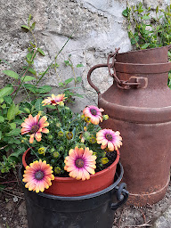 Photo n°18 de À L'ombre bleue du figuier à Ailhon (Gîte)