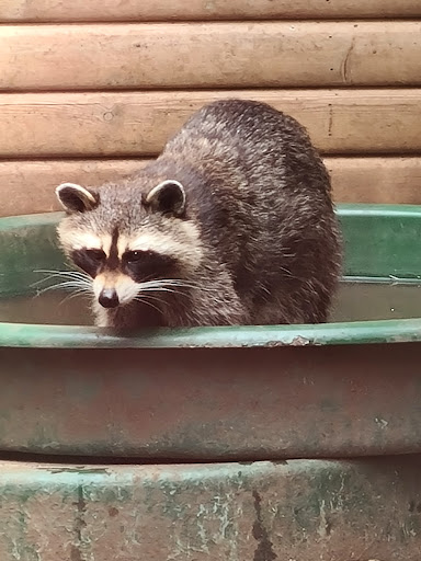 Gentleshaw Wildlife Centre - Thumbnail