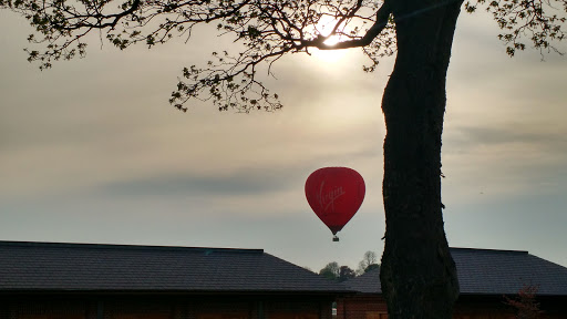 Balloon Rides - Visual