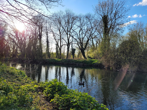Byron's Pool LNR - Thumbnail