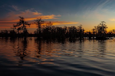 Lake Martin, LA