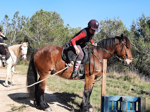 Photo n°7 de Les Cavaliers du Luminaryo à Escales (Centre équestre)