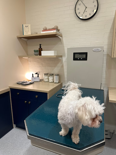 Bond Vet - Lakeview Gallery - United States