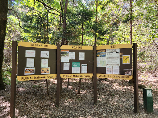 Queen Lily Campground - Thumbnail