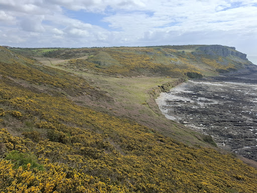 Caswell Bay Terminus - Thumbnail