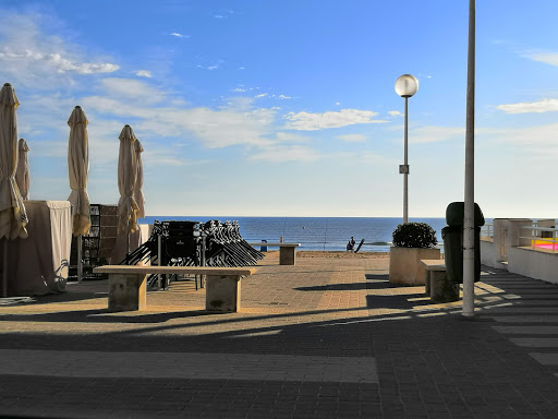 Fuster - Visual