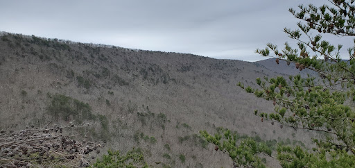 Cheaha Wilderness - Thumbnail