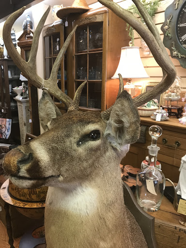 Spenceberry Antiques - Thumbnail