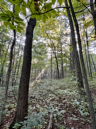 Gibraltar Rock State Ice Age Trail Area - Thumbnail