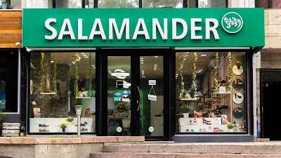 shoe-store