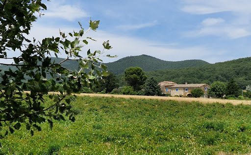 Photo de Jas de Safrene : Gîte de groupe avec piscine à la campagne, idéal séminaire, proche Montélimar et Grignan, Drôme Provençale à Marsanne (26740)