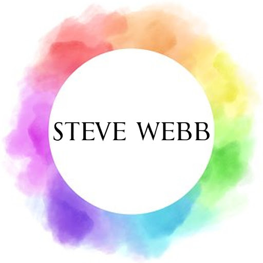 Steve Webb - Visual