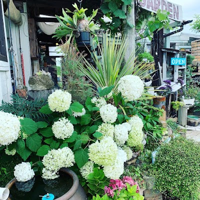 しーずん＆華樹