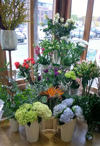 Eden Florists - Thumbnail