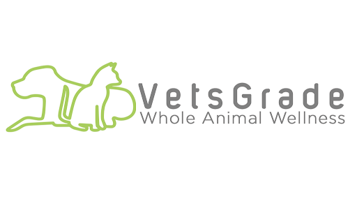 VetsGrade - Visual