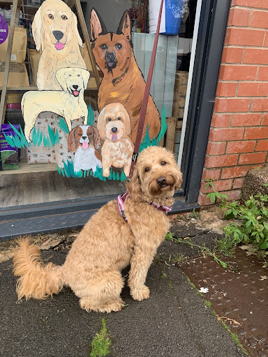 Pets Pantry Prestwich Gallery - United Kingdom
