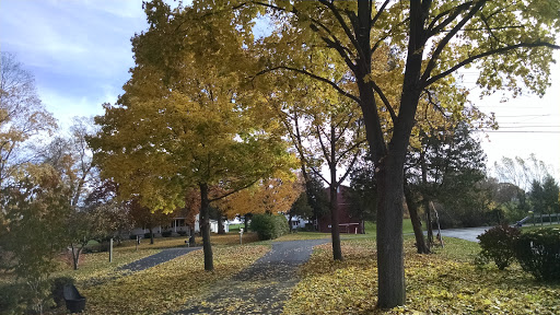 Upstate New York Tree Service - Thumbnail