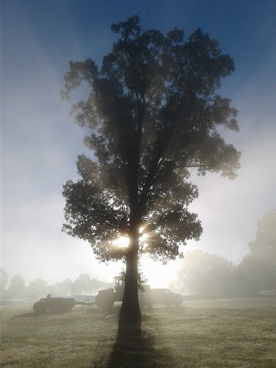 Shawnee Forest Campground