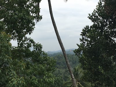 Photos of Edanduwawa Viharaya