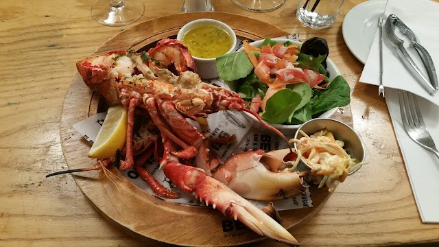 Belgo