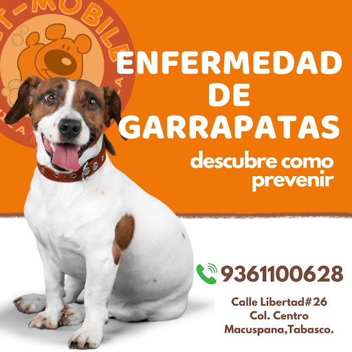 Clínica Veterinaria Pet-Mobile Macuspana
