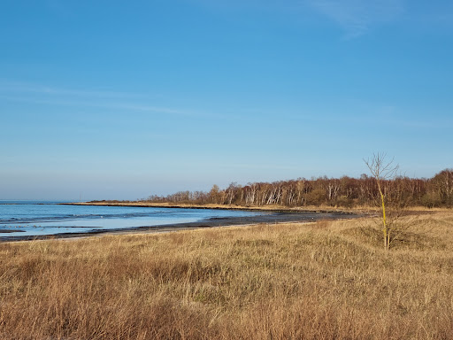 Tarnewitzer Huk
