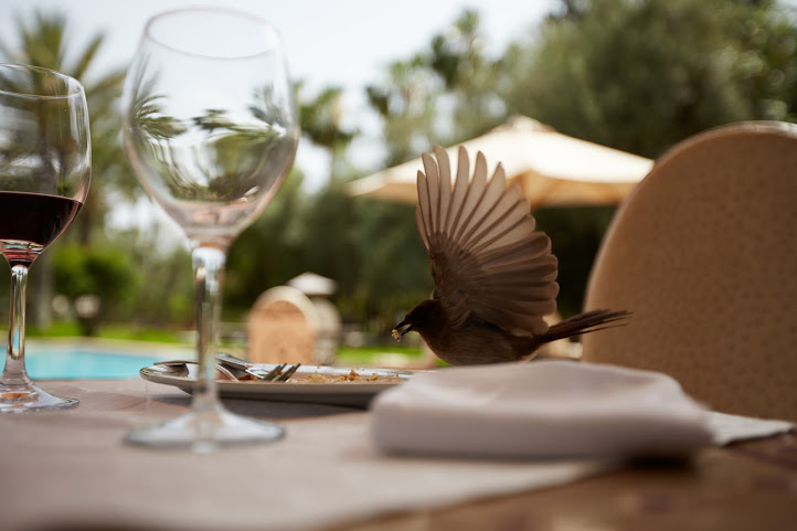 Dar Ayniwen Villa Hotel by null