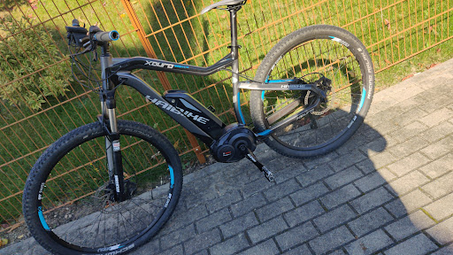 lotexsports.de