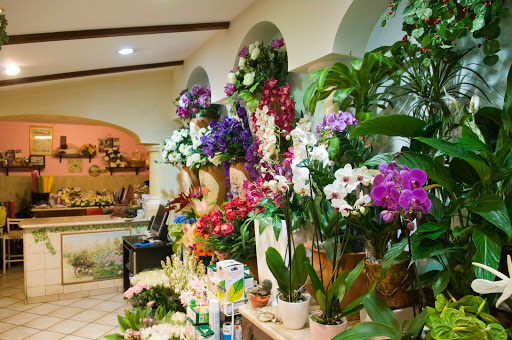 Piante Fiori E Addobbi Terrecuso - Thumbnail