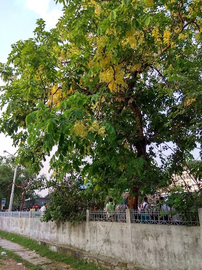 Photos of Adamjee School Bus Station