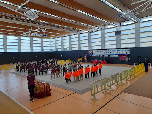 Polideportivo Municipal De Torrejón De La Calzada