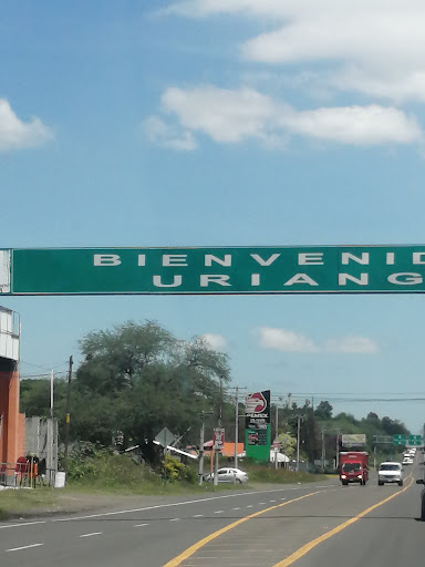 Zona Comercial Uriangato - Thumbnail