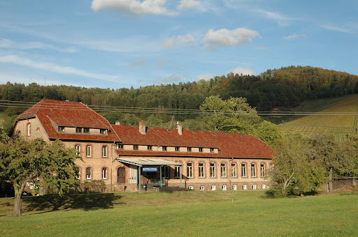 Waldkirch via lorelei - Thumbnail