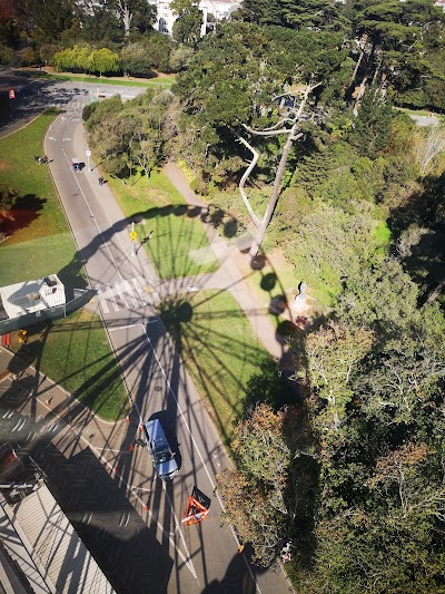 SkyStar Wheel